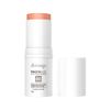 Protetor-Solar-Facial-Dermage-Photoage-Stick-Color-Nude-Fps60-16g