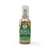 Spray-para-Garganta-Extrato-de-Propolis-Sabor-Gengibre-30ml