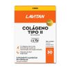 741571-Colageno-Tipo-II-Lavitan-30-Capsulas---Principal