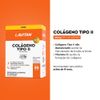 741571-Colageno-Tipo-II-Lavitan-30-Capsulas---Beneficios